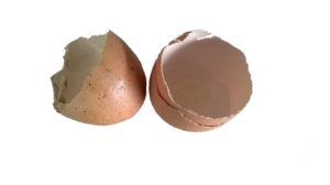 eieren, eierschalen