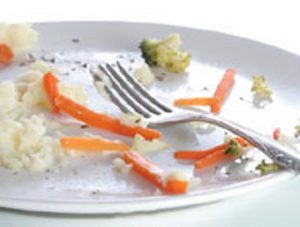 dierlijk en plantaardig keukenafval en etensresten